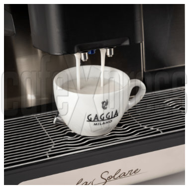 Gaggia Milk System